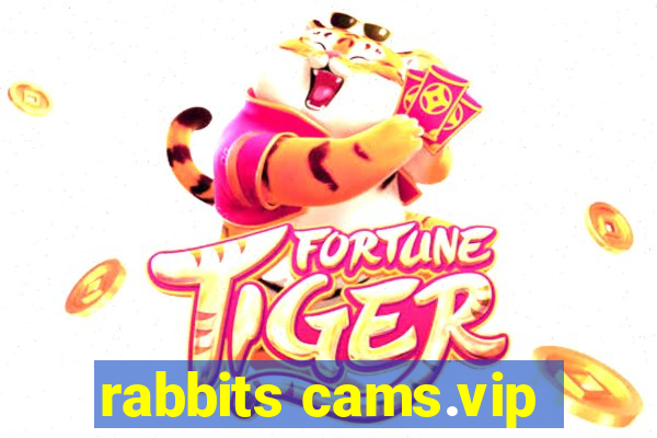 rabbits cams.vip